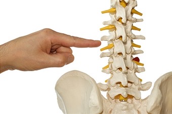 Lumbar Spine