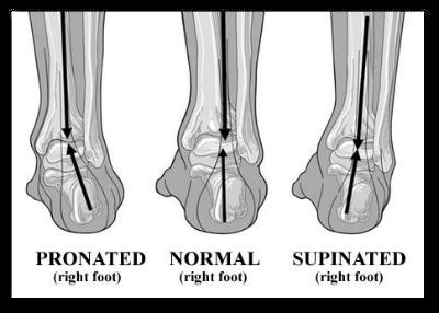 Assessment of Foot Mechanics - Part 1