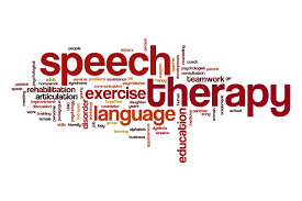 The Practice of Speech-Language Pathology from a Neuro-Developmental Treatment Perspective
