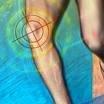 Knee