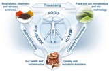 Nutrition and Patient Outcome