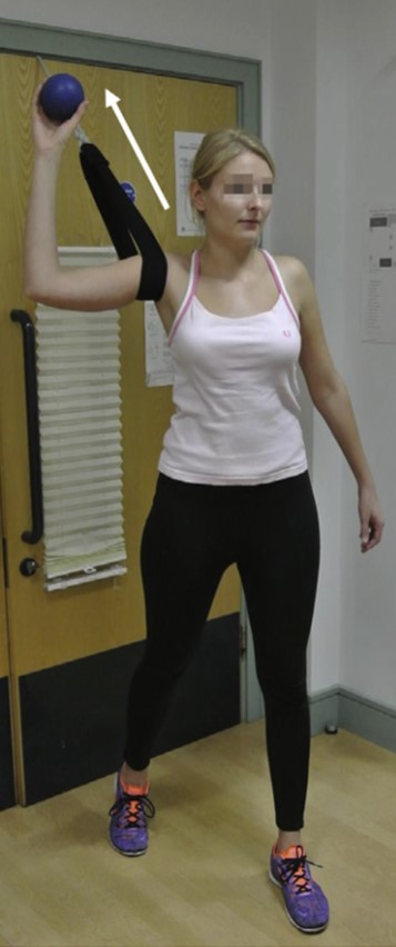Masterclass:  Rotator Cuff Related Shoulder Pain