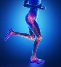 (CANCELLED) Orthopaedic Biomechanical Examination of the Lower Limb with Implication to Treatment